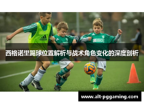 西格诺里踢球位置解析与战术角色变化的深度剖析